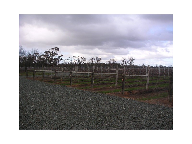 931 Murray Valley Highway, Echuca VIC 3564