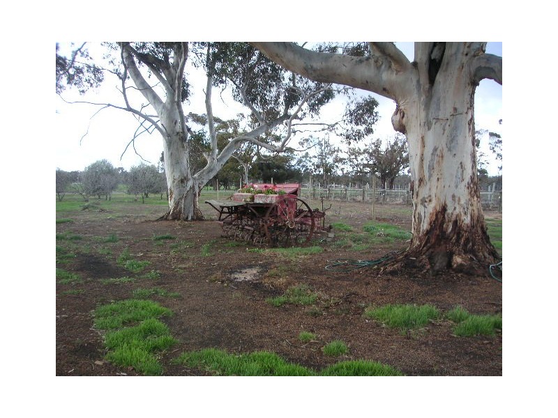 931 Murray Valley Highway, Echuca VIC 3564