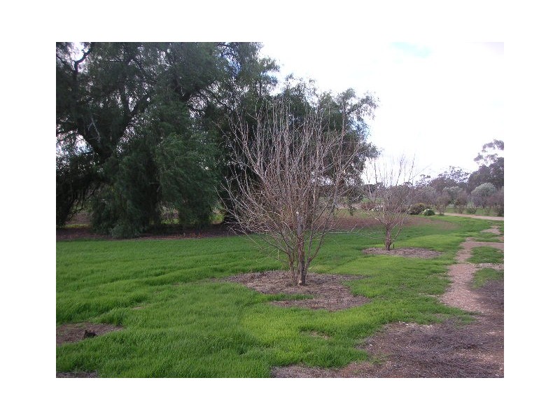 931 Murray Valley Highway, Echuca VIC 3564