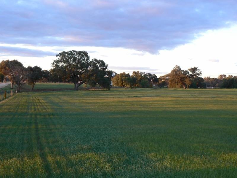 931 Murray Valley Highway, Echuca VIC 3564