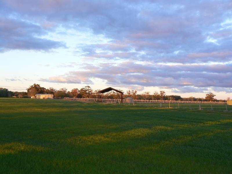 931 Murray Valley Highway, Echuca VIC 3564