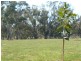 23 Chelsworth Drive, Echuca VIC 3564
