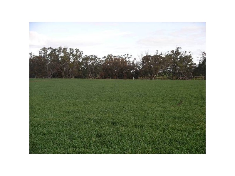 2 Nolan Road, Echuca VIC 3564