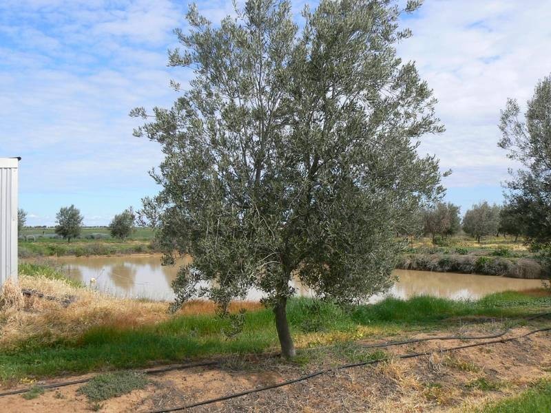 231 Farley Road, Echuca VIC 3564