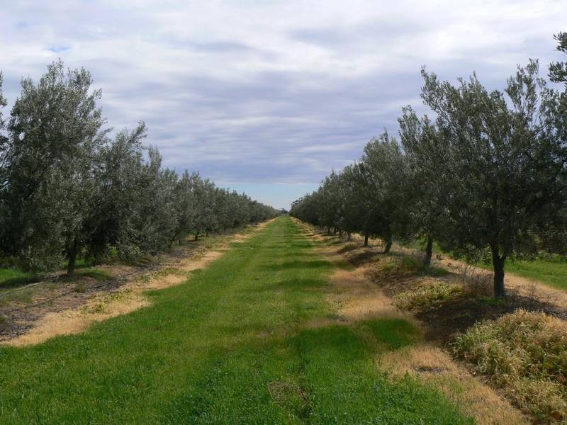 231 Farley Road, Echuca VIC 3564