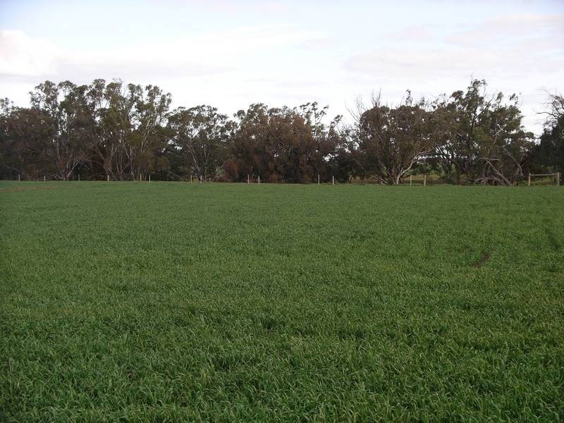 Lot 2, 86 Nolan Road, Echuca VIC 3564