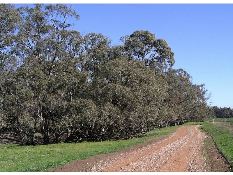 Lot 2, 86 Nolan Road, Echuca VIC 3564