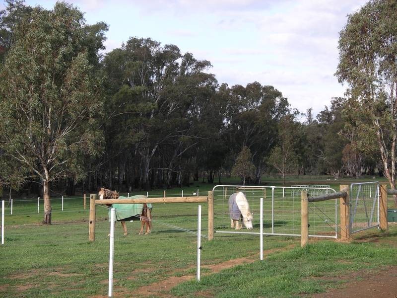 Lot 2, 86 Nolan Road, Echuca VIC 3564