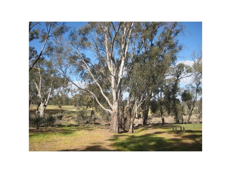 84 Matheson Road, Echuca VIC 3564