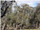 84 Matheson Road, Echuca VIC 3564