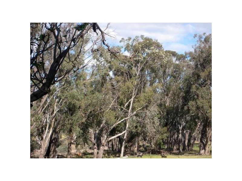 84 Matheson Road, Echuca VIC 3564