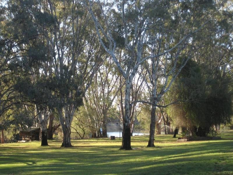01 Winbi Lane, Moama NSW 2731