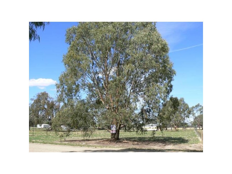 9 Riverview Court, Barmah VIC 3639