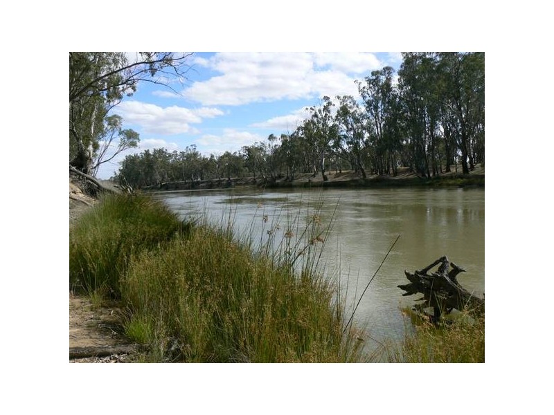 9 Riverview Court, Barmah VIC 3639