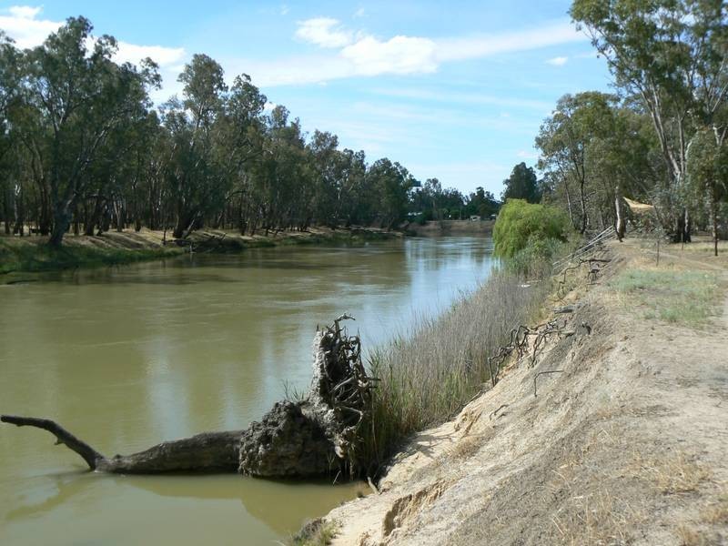 6 Riverview Drive, Barmah VIC 3639