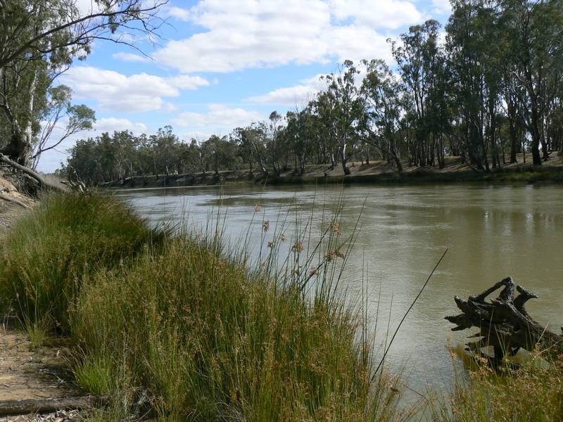 6 Riverview Drive, Barmah VIC 3639