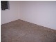 559 Anzac Pde, Kingsford NSW 2032