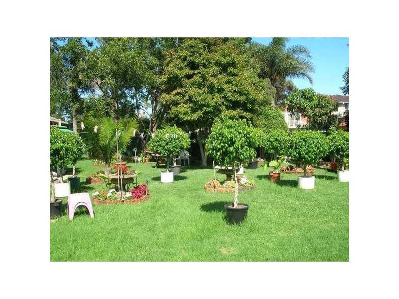 98 Wentworth Ave, Pagewood NSW 2035