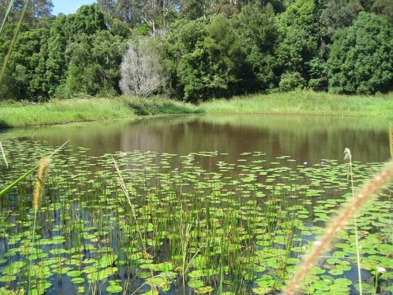 30 Brinsmead, Duranbah NSW 2487