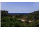 3 Harpullia Crt, Casuarina NSW 2487
