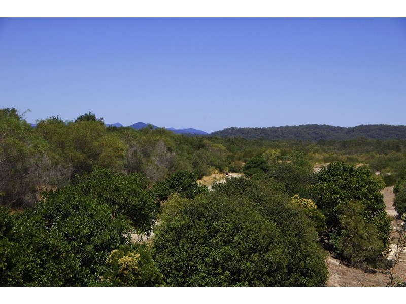 3 Harpullia Crt, Casuarina NSW 2487