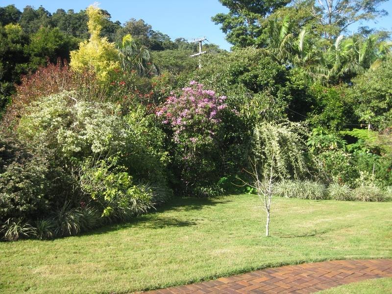 109 Farrants Hill, Farrants Hill NSW 2484