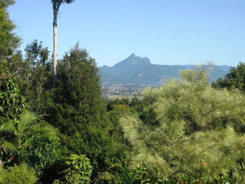 109 Farrants Hill, Farrants Hill NSW 2484