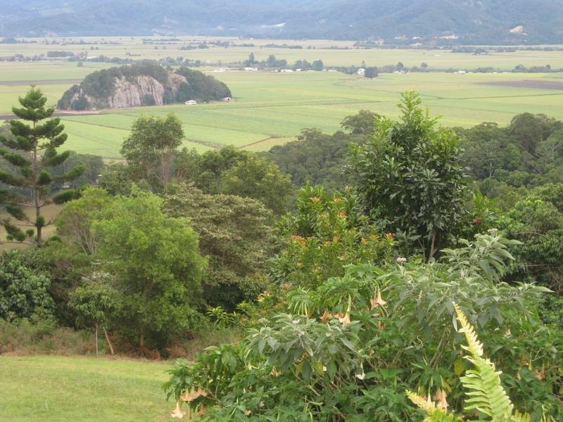 109 Farrants Hill, Farrants Hill NSW 2484