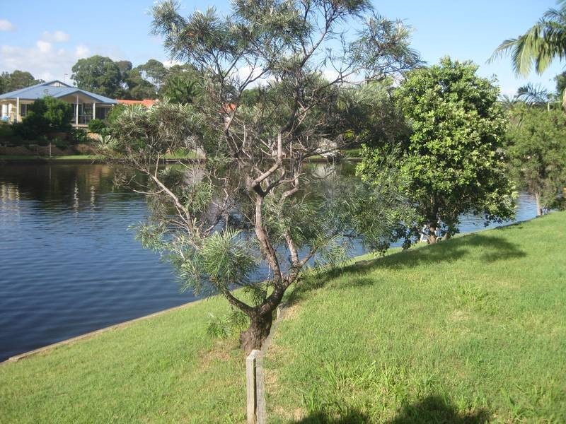 11 B Konda Ct, Ocean Shores NSW 2483