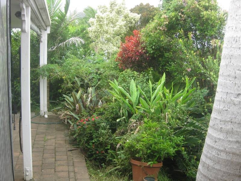 11 B Konda Ct, Ocean Shores NSW 2483