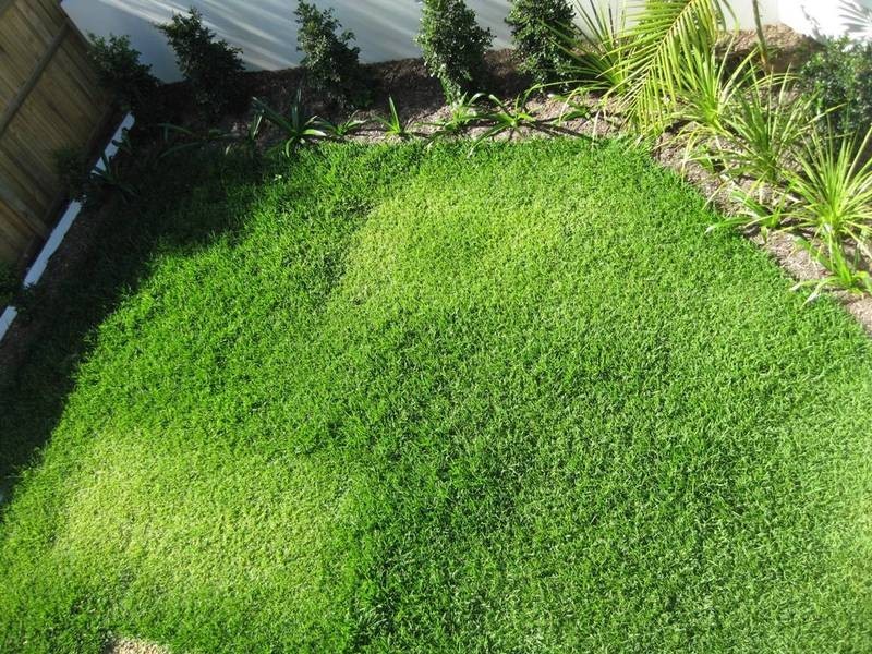 3/1 Pacific Street, Kingscliff NSW 2487