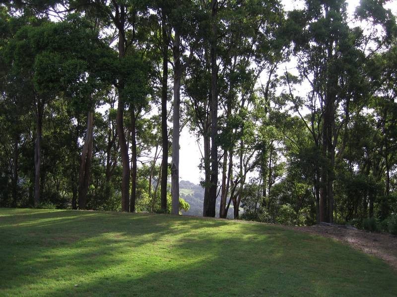 348 Farrants Hill Rd, Cudgen NSW 2487