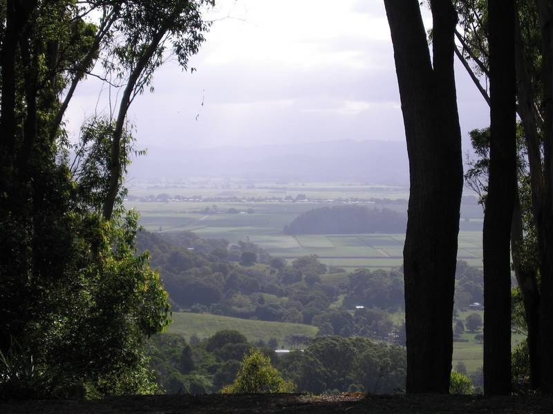 348 Farrants Hill Rd, Cudgen NSW 2487