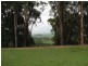 348 Farrants Hill Rd, Cudgen NSW 2487
