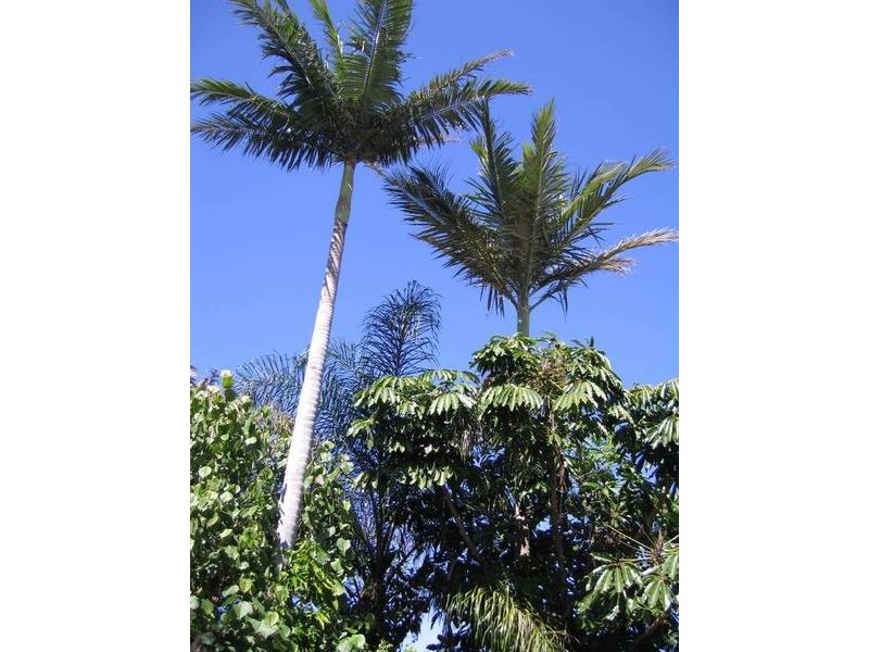 28 Fingal Rd, Fingal Head NSW 2487