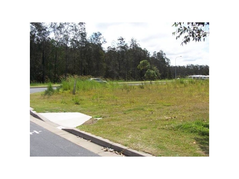 677/ Sugarglider, Pottsville Beach NSW 2489