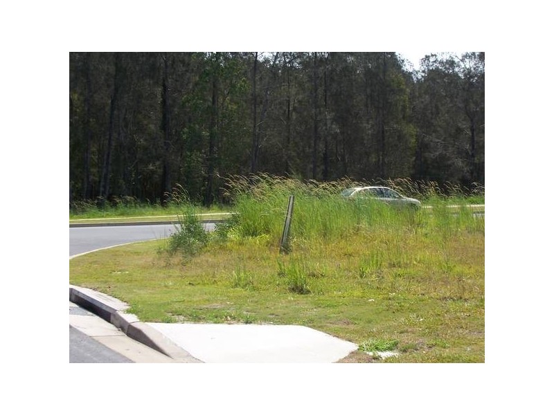 677/ Sugarglider, Pottsville Beach NSW 2489