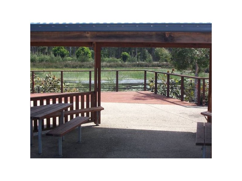 677/ Sugarglider, Pottsville Beach NSW 2489