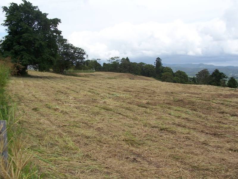 Lot 16,  Farrants Hill Rd, Farrants Hill NSW 2484