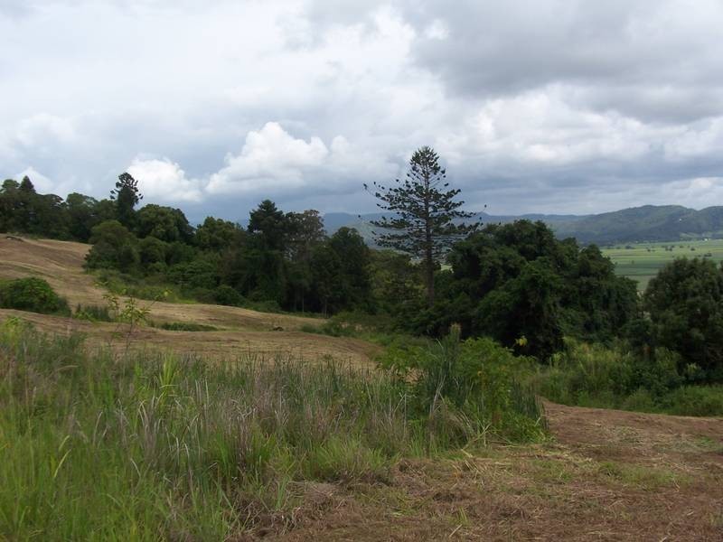 Lot 16,  Farrants Hill Rd, Farrants Hill NSW 2484