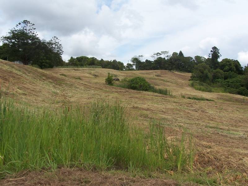 Lot 16,  Farrants Hill Rd, Farrants Hill NSW 2484