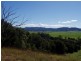 Lot 16,  Farrants Hill Rd, Farrants Hill NSW 2484