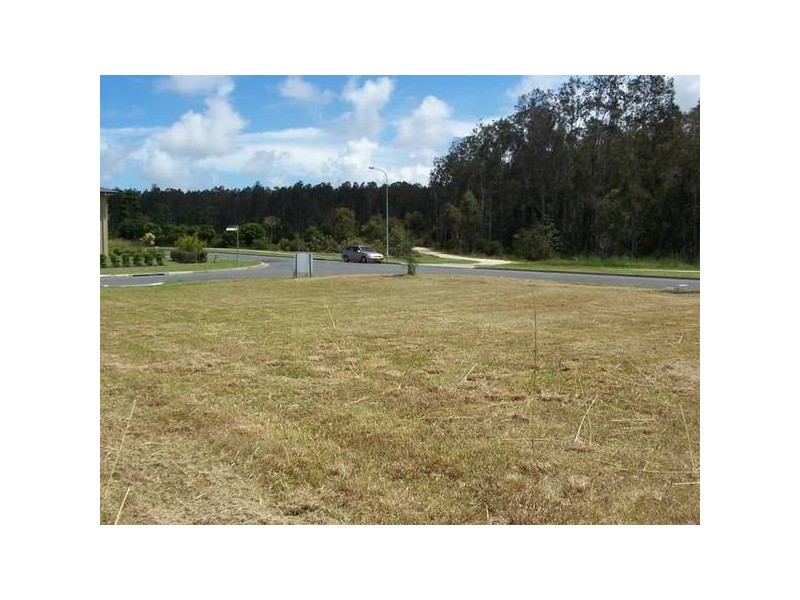 sugarglider, Pottsville NSW 2489