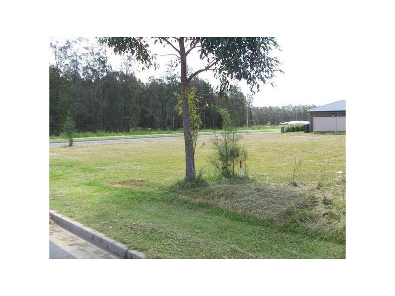 sugarglider, Pottsville NSW 2489