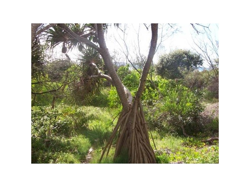 7/23 ,Murphy’s Rd, Kingscliff NSW 2487