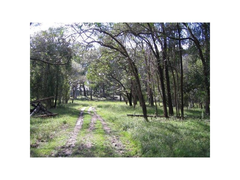 4 Loders Lane, Duranbah NSW 2487