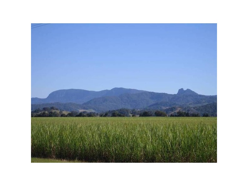 392 Racecourse Rd, Murwillumbah NSW 2484