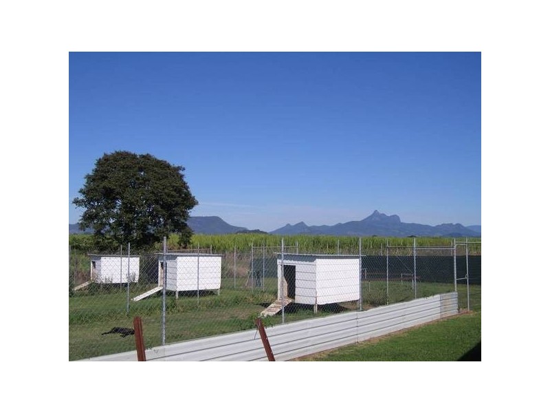 392 Racecourse Rd, Murwillumbah NSW 2484