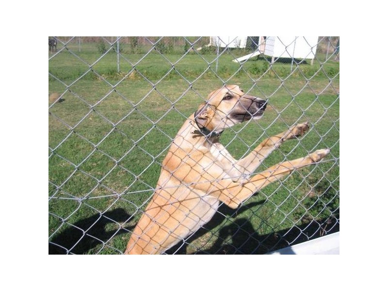 392 Racecourse Rd, Murwillumbah NSW 2484