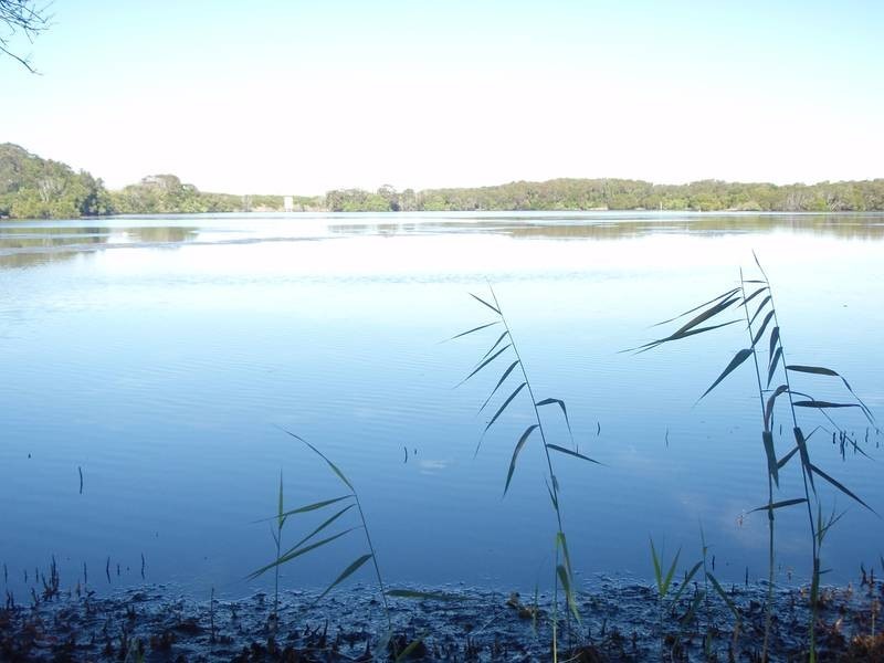 37 Fingal Rd, Fingal Head NSW 2487